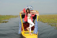 Rose Garden Movie Photos